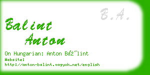 balint anton business card